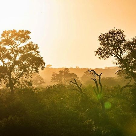 Geiger'S Camp In Timbavati Game Reserve By Newmark Vila Exterior foto