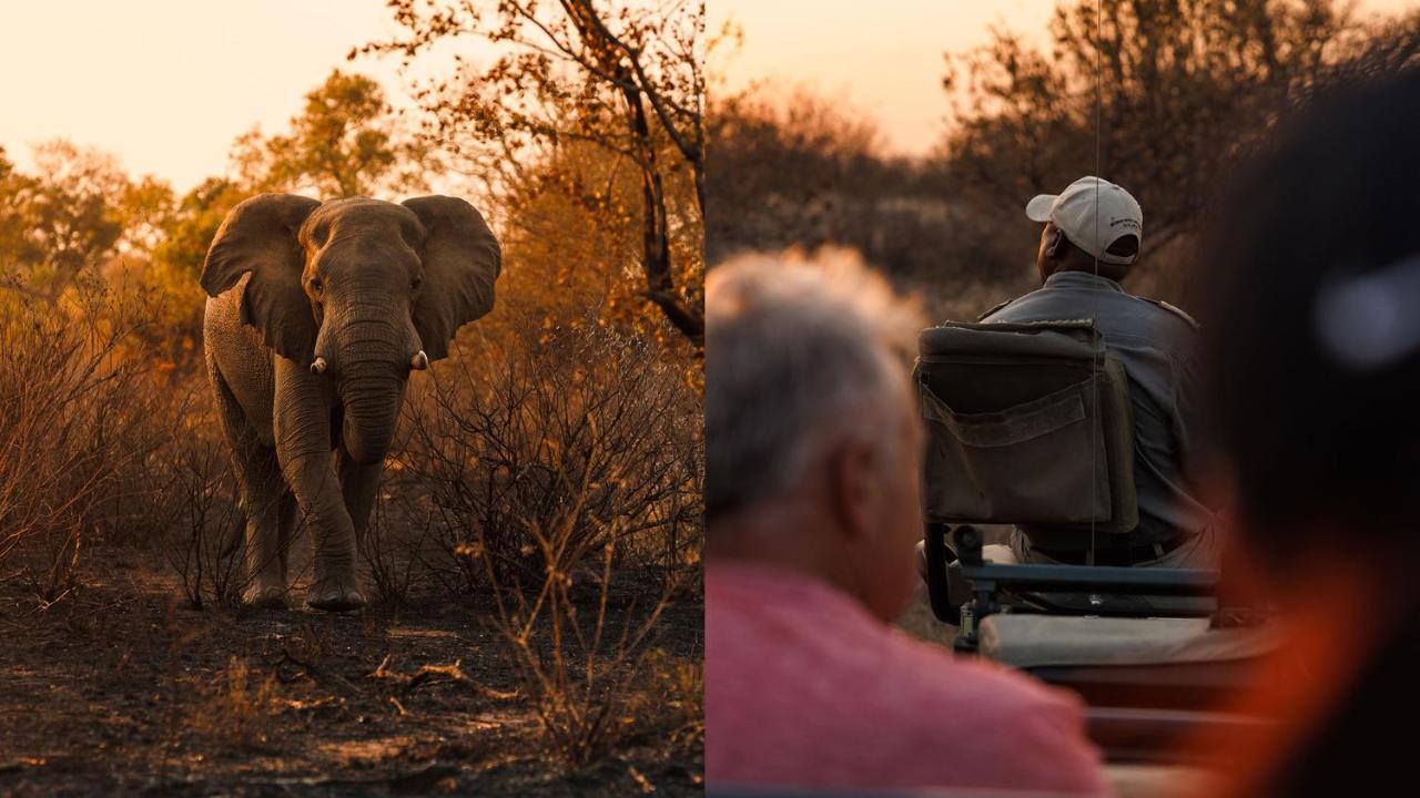 Geiger'S Camp In Timbavati Game Reserve By Newmark Vila Exterior foto