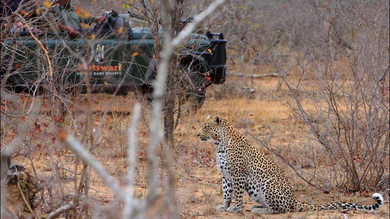 Geiger'S Camp In Timbavati Game Reserve By Newmark Vila Exterior foto