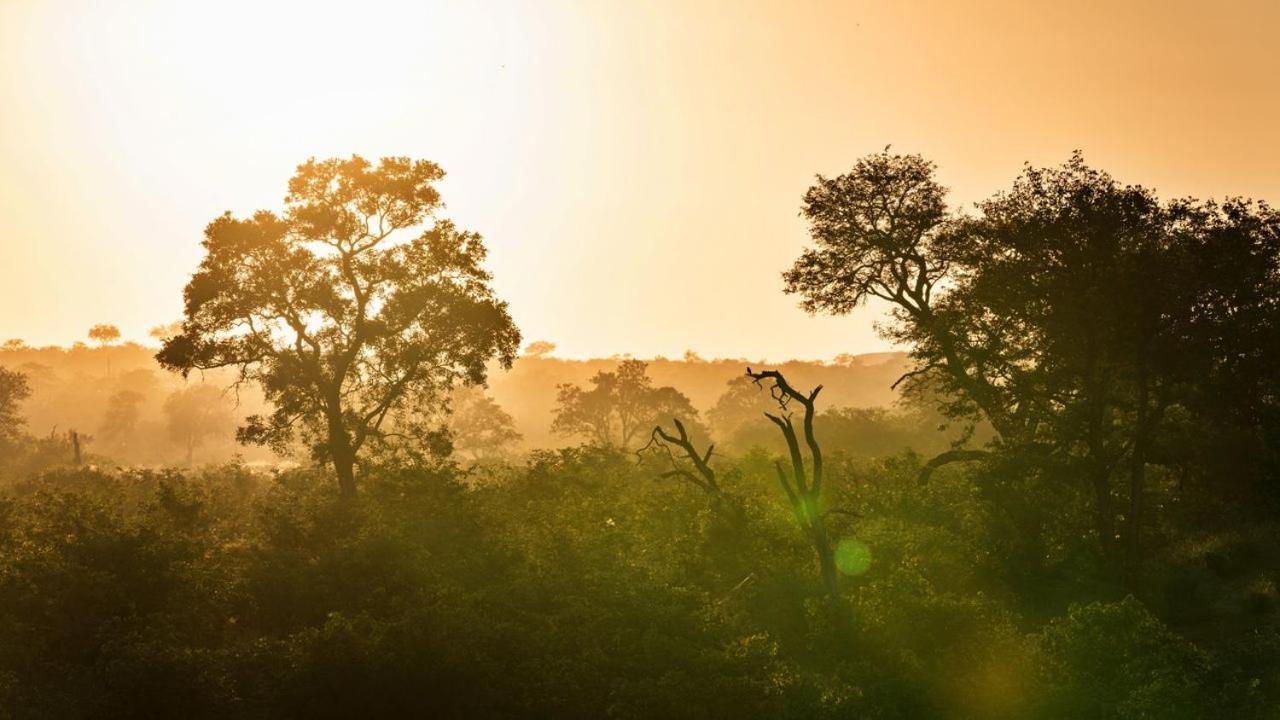 Geiger'S Camp In Timbavati Game Reserve By Newmark Vila Exterior foto